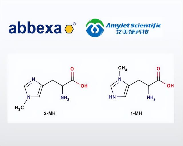 Abbexa甲基组氨酸（3-MH）ELISA试剂盒说明书