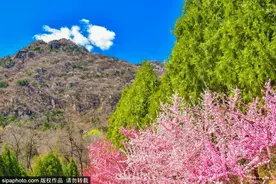 约吗？周末在北京找一座山登高望远，寻觅春意~图片