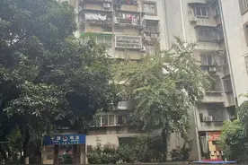 广州买房记1：天河华阳小学学区房信成小区踩盘经历图片