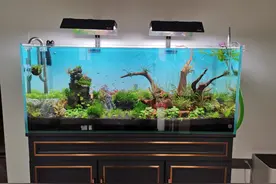 80的鱼缸能装多少升水图片