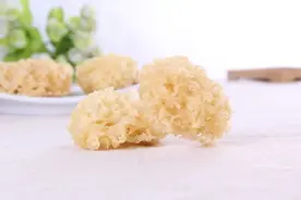 “菌中精品”银耳，能益气养荣，怎么吃才好？图片