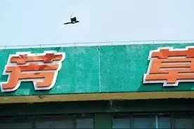 超怀旧！第一台空调、第一台电视机...那些年用过的合肥品牌图片