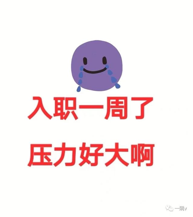 什么才是“职场生存法则”