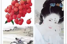 “无人知是荔枝来”杨贵妃所食荔枝源于何处？如何保管与运输的？图片