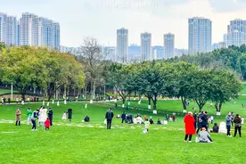 世界最大城市公园正在重庆建设，投资超50亿，面积是中央公园14倍图片