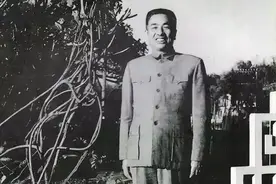 省委书记与行刺他的特务时常不期而遇，不经意间，他产生了怀疑图片