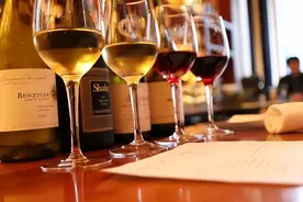 从 A 到 Z 盘点全球酒类，听过一半的都是大神！图片