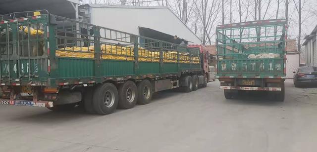 饲粮氨基酸的平衡