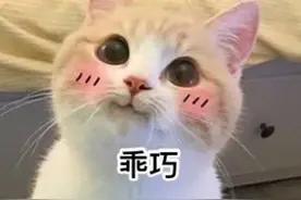 《穿成炮灰明星后我爆红了》主角确定叫纪厘吗？应该是锦鲤才对图片