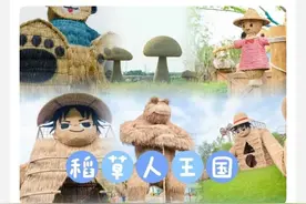 多人吐槽呼和浩特“稻草人王国”虚假宣传，商家：草长高点就好看了图片