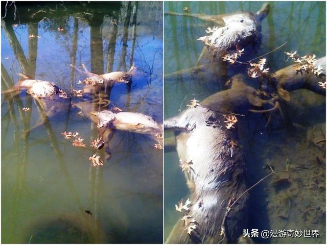 看完这组震撼的图片，才明白大自然有多可怕…
