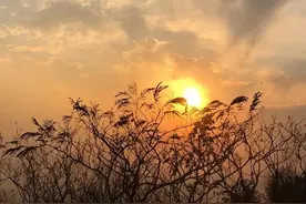 存在的不是合理的，合理的一定是现实的图片