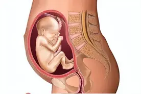 生孩子会让女人加速衰老11年！我们该怎么办？图片