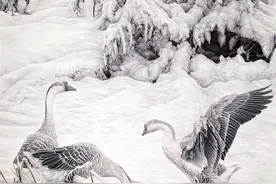 画家吴鸥的超写实冰雪画图片