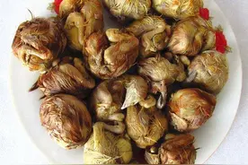 毛鸡蛋和活珠子看着让人恶心，很多人都不敢吃，真比鸡蛋还补吗？图片