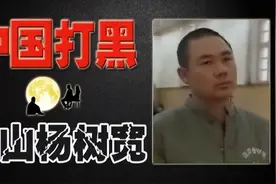 唐山最猖狂的黑老大，敲诈勒索8个亿开装甲车遛狗，2008年被判刑图片