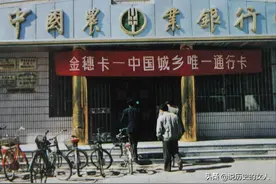 1993年，两个华侨回国骗银行100亿，骗局暴露后正副行长帮忙掩盖图片
