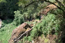 感染后全身的洞都流血，美军研究的这个洞穴里或藏着两种致命病毒图片