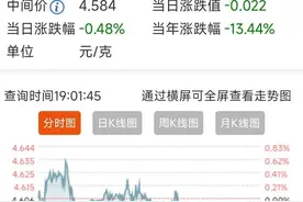 2023年的一克纯银价格图片