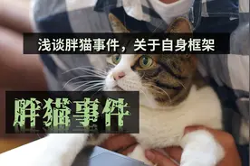 胖猫事件浅谈：智者不入爱河，成年人洗脚按摩图片