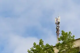 移动信号塔存在较大辐射，事实真的如此吗？图片