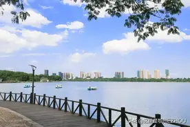 为何频频被点名？鄂州这个区将要爆发图片