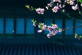 王勃最经典的10首唐诗，每一首都值得背诵！图片