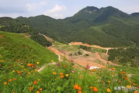 内蒙古乌海地区：地质环境治理与生态保护的几点意见与建议图片