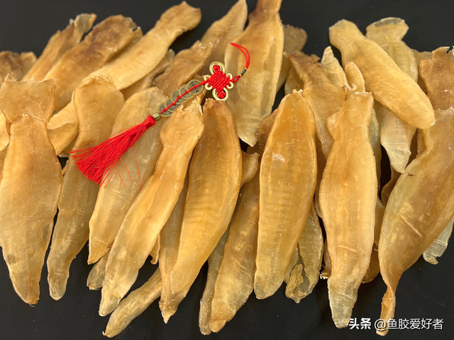 安南鱼胶与北海鱼胶哪个品种好 安南鱼胶和北海鱼胶 那种好