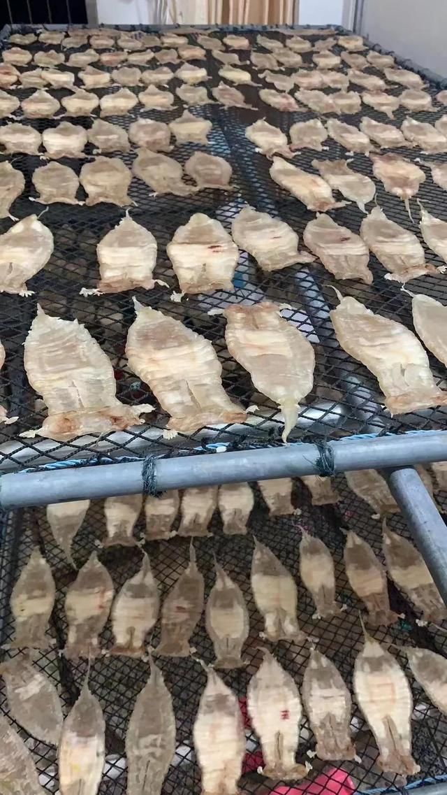 40头黄花胶多少钱一斤 2025年45头黄花胶一斤有多少