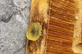 炎炎夏日砧板是细菌重灾区，终于找到这款双面抗菌砧板，生...图片