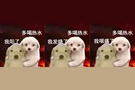 如何有效安慰阳了的朋友？别只会说喝水吧、加油吧、挺住啊图片