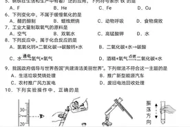 2022秋九年级化学第一次联考试卷（附答案解析）图片