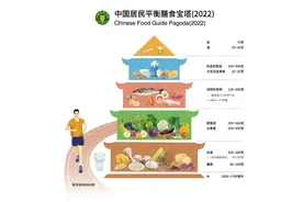 中国居民平衡膳食宝塔、餐盘（2022）图示修订和解析说明图片
