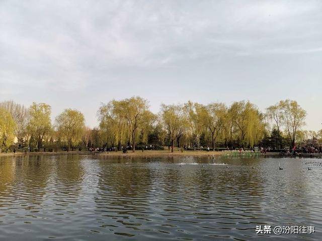 汾阳往事｜殷维明：杏花村游记——汾酒工业园林赏杏花