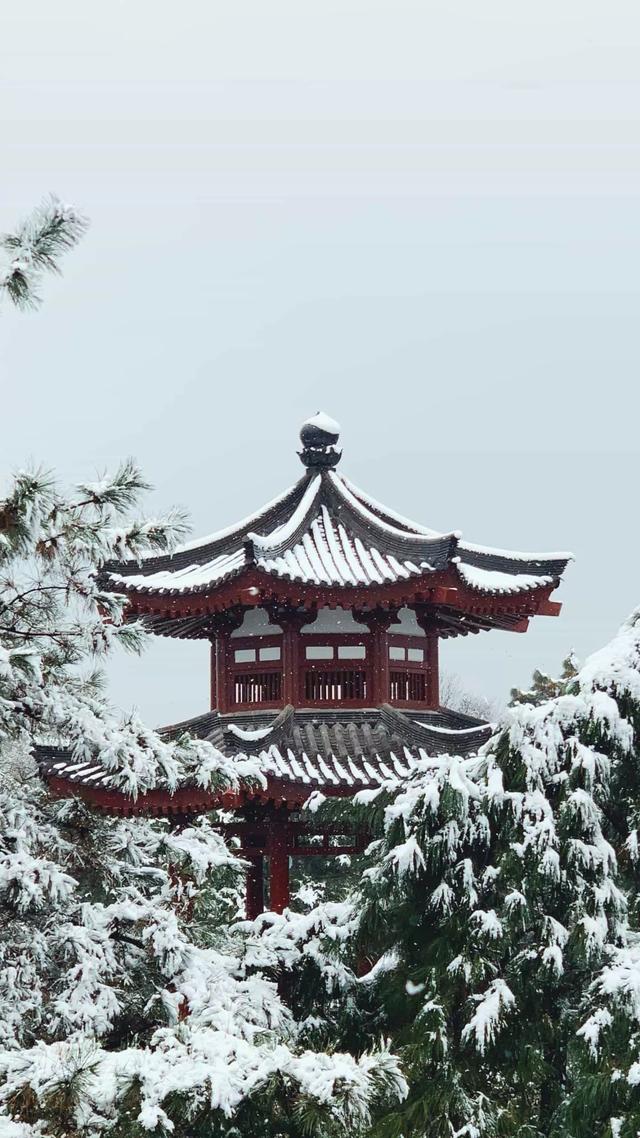 老祖宗留下来的忠告有哪些？
