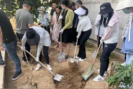 全力整治环境卫生“痛点” 市北区湖岛街道“三不管”地带焕“新颜”图片