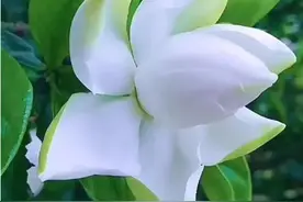 遇见你，不是偶然，而是冥冥之中的注定，是上天安排的缘分图片
