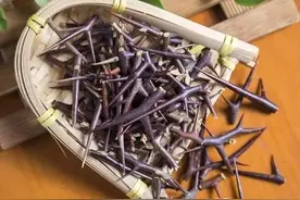 皮肤的肉疙瘩，不痛不痒，选用经方阳和汤，再加两组药，效果更好图片