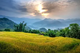 女人40岁后，为什么越来越想男人？离不开这3点图片