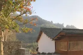杭州周边6家山林秘境中高颜值精品民宿，回归田园生活丨南方民宿图片