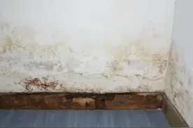 家里发霉怎么办？6个除霉实用小技巧，轻松解决霉味问题图片