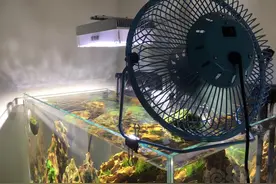 换了4台电风扇，终于知道怎样挑选了！希望大家不要和我一样吃亏图片