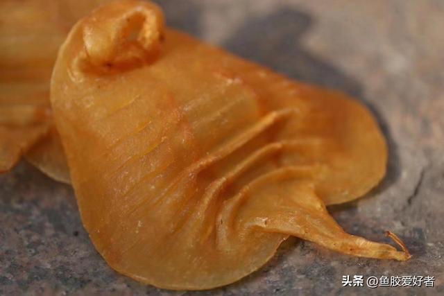 经常加班的人吃花胶的好处 经常吃花胶是否能去斑
