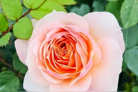 异性相处，男女间一旦“捅破窗户纸”，往往逃不出这样的结局图片