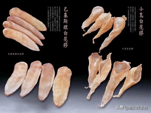 白花胶有什么功效与作用 白花胶有什么功效与作用图片