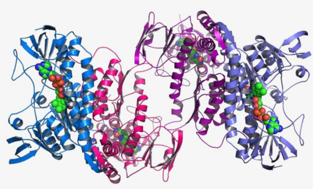 鐑圭叜閮芥潃涓嶆鐨勬湂鐥呮瘨锛岃嚧姝荤巼100%鏃犺嵂鍙晳锛佹劅鏌撳悗鏈夊鎭愭€栵紵