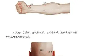 《威海市新冠病毒感染中医药宣教及居家防治指导方案》出炉图片