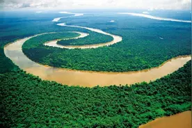 看似绿色天堂，实为人类禁区！亚马逊热带雨林到底多可怕？图片