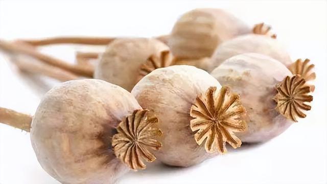 在自家院子里晾晒大烟壳 一老太被判刑